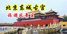 中年妇女的小穴中国北京-东城古宫旅游风景区